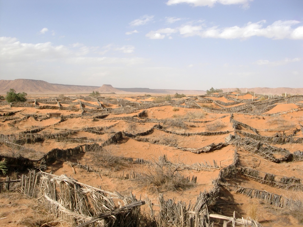 Sand fences in dry landscape south of Erfoud