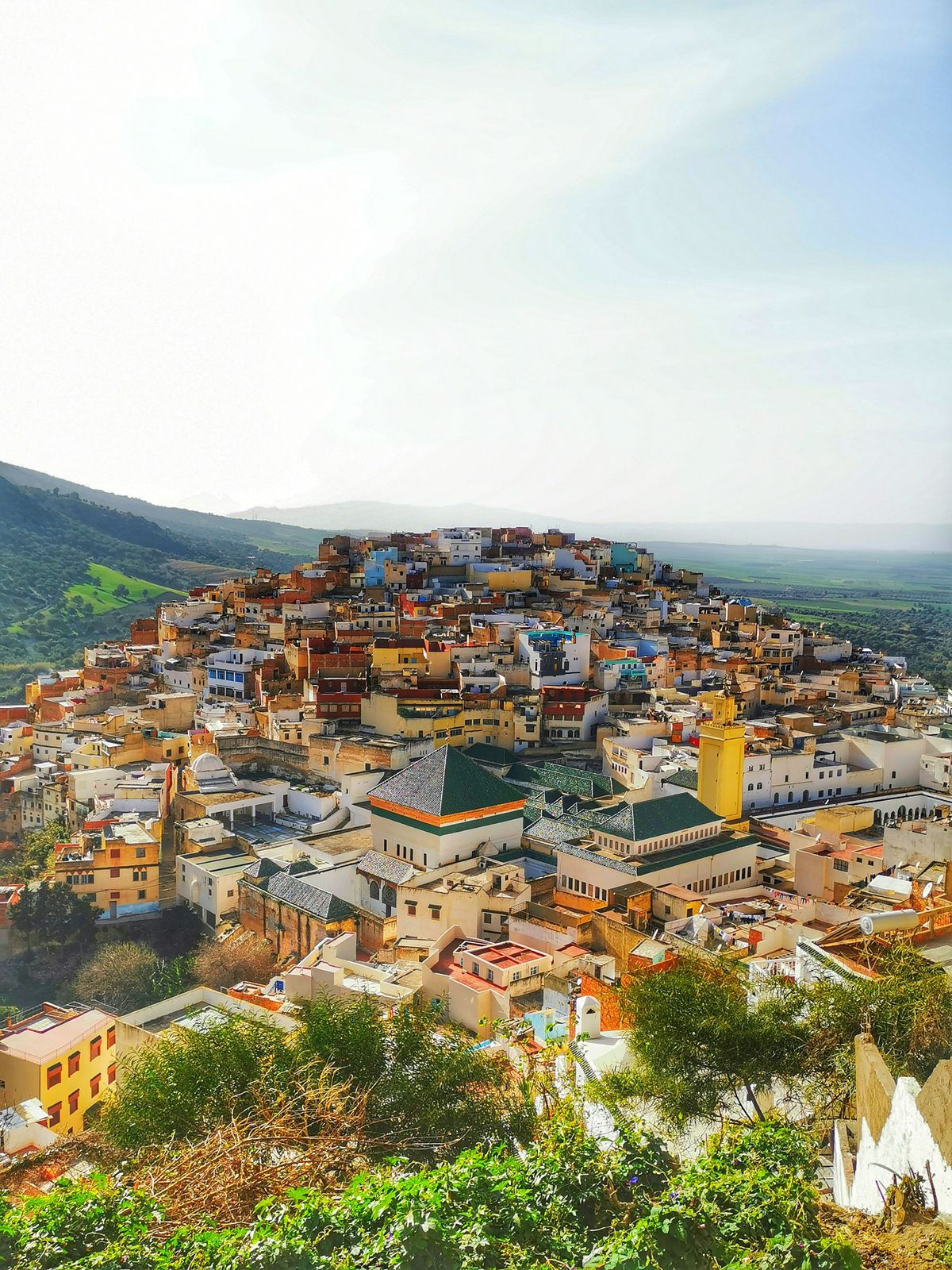 Moulay Idriss Zerhoun hillside town seen from above
